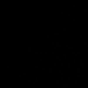 Meet your Posher, Dalton